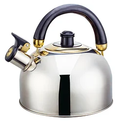 Чайник Webber BE-0562