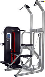 Bronze Gym MT-008A