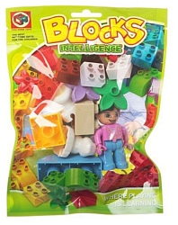 Blocks Intelligence 188B-12