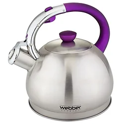 Чайник Webber BE-0546