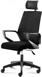 Кресло Norden Эрго A909-FX363-1 (черный) Кресло Norden Эрго A909-FX363-1 (черный)