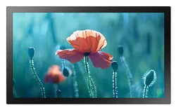 Интерактивная панель Samsung QB13R-T Интерактивная панель Samsung QB13R-T