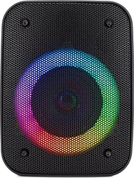 Портативная акустика Hyundai H-PS1005 Портативная акустика Hyundai H-PS1005