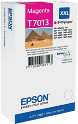 Epson C13T70134010