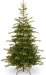 National Tree Company Norwegian Spruce 2.25 м (PENG4-500-75)