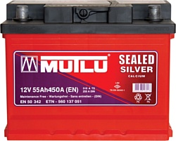 Mutlu Silver LS2-55C (55Ah)