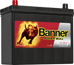 Banner Power Bull P45 24 (45Ah)