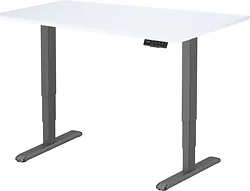 Стол для работы стоя ErgoSmart Unique Ergo Desk 1200x650x25 мм (альпийский белый/черный)