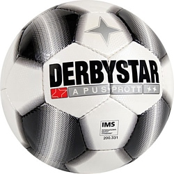 Derbystar Apus Pro TT (белый/черный) (1712500121)