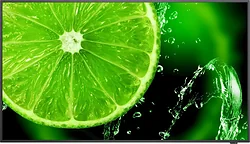 Монитор NEC MultiSync E658