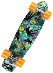 Fish Skateboards Print Pineapple