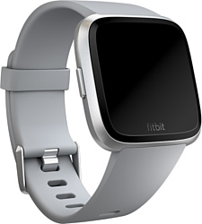 Fitbit классический для Fitbit Versa (L, серый)