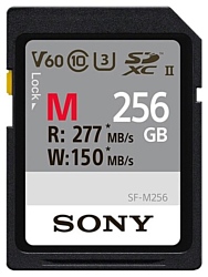 Sony SF-M256 2019 256GB