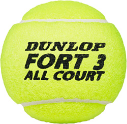 Dunlop Fort All Court (3 шт)