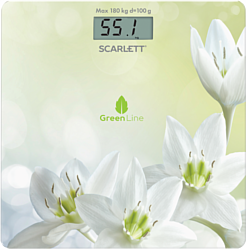 Scarlett SC-BS33E101