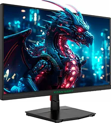 Игровой монитор Titan Army P2510H