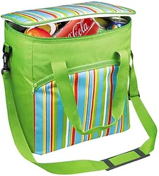 Автомобильный холодильник Green Glade P1632 32л