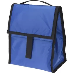 Автомобильный холодильник Koopman DB4000050 (синий)