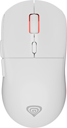 Genesis Zircon XIII Custom white