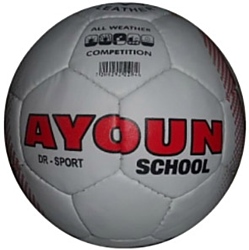 Ayoun School