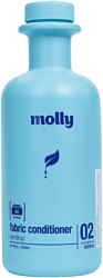 Molly Капля дождя 1 л