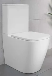 Унитаз Lauter Vortex 2110012VF