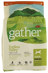 Gather Endless Valley