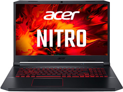 Acer Nitro 5 AN517-52-52MS (NH.Q82ER.00C)
