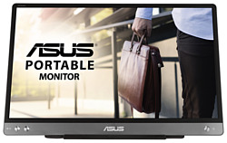 ASUS ZenScreen MB14AC