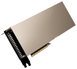 NVIDIA A100 80GB HBM2 (900-21001-0020-100)