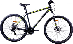 AIST Quest Disc 29 (2020)