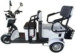 SHTENLI Model 37 SLA 60V/20а SHTENLI Model 37 SLA 60V/20а