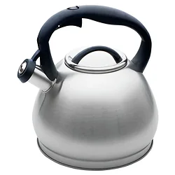 Чайник Webber BE-0553