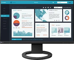 Монитор Eizo FlexScan EV2490-BK