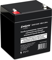 ExeGate Power EXG 1245   EP212310RUS