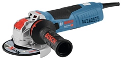 BOSCH GWX 17-125 S Professional (06017C4002)