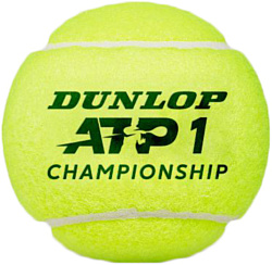 Dunlop ATP Championship (4 шт)