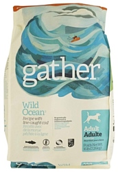 Gather Wild Ocean