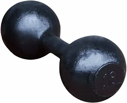 Titan Литая 16 кг.