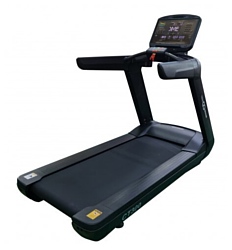 CardioPower PRO CT300