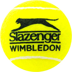 Slazenger Wimbledon Tennis Balls (4 шт)