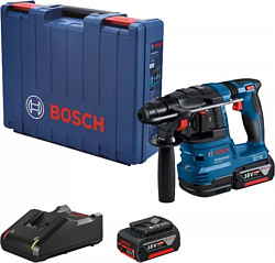 Перфоратор Bosch GBH 185-LI Professional 0611924021 (с 2-мя АКБ, кейс)