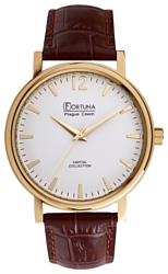 Fortuna FM061-21-19