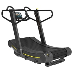 ZGYM PRO 925 LCD