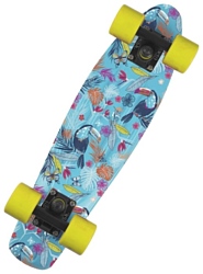 Fish Skateboards Print Tucans