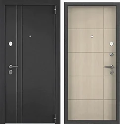 Металлическая дверь Torex Tau LT MP1 (95x205, правая) Металлическая дверь Torex Tau LT MP1 (95x205, правая)