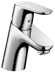 Hansgrohe Focus 31604000