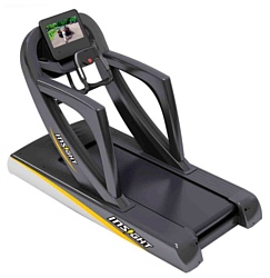 Insight Fitness CT-8800