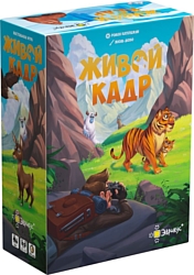 Настольная игра для детей Эврикус Живой кадр