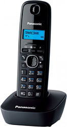 Panasonic KX-TG1611RUH